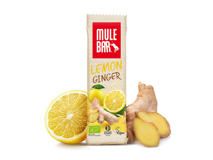 Lemon & ginger Mulebar cereal bar