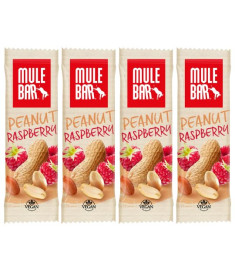 Pack of 4 Peanut and Raspberry Mulebar energy bar
